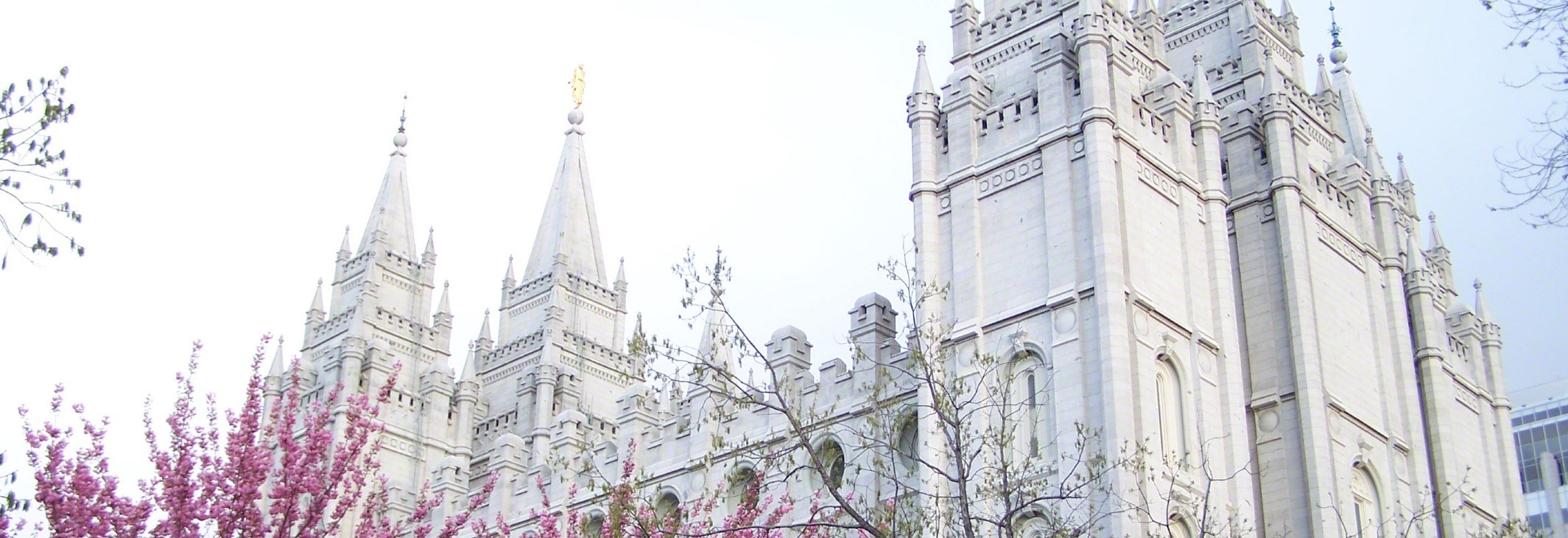 LDS Temple Header